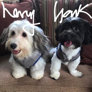 Meet your Posher, Jeanette